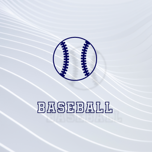 Collier Sport Titane Baseball Lot De 20 Colliers Sportifs 3 Cordes - Titane, Couleurs Bleu Royal & Blanc - Style Baseball Atomic Runner Megadrive